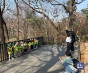 서울 광진구육아종합지원센터, 숲과 함께놀자 사업 운영 재개