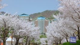 소노인터내셔널, 전국 소노호텔앤리조트서 봄맞이 여행 제안