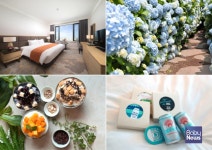 제주썬호텔, 여름 시즌 패키지 3종 출시