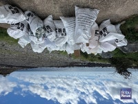 공무원연금공단, 지역사회와 함께 서귀포 화순 환경정화활동 실시