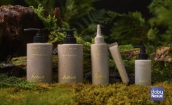 뷰티·퍼스널케어 브랜드 히니스(hiniis), 고함량 편백수로 뷰티 시장 본격 진출