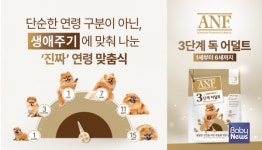 [펫뉴스] 중구 우리동네 동물훈련사가 직접 찾아갑니다 外