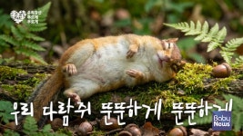 푸디스트(주)타이슨푸드코리아점 | [오늘의 브랜드] 푸디스트, '사조푸디스트'로 사명 변경… 토탈 푸드 솔루션 기업 도약 外