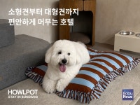 [펫뉴스] 하울팟, 프리미엄 반려견 호텔 하울팟 스테이 in 분당 오픈 外