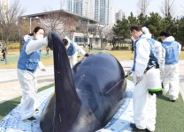 포스코건설, 인천지역 공원·다중이용시설 코로나 방역활동
