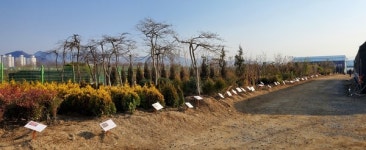 산림조합, 전국 128개소 나무전시판매장 운영