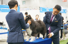 서울예술실용전문학교, 동물훈련과정 신입생 모집