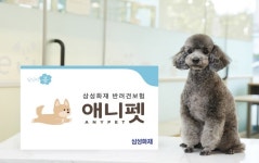 삼성화재 다이렉트 펫보험, 반려동물 병원비 부담 줄여