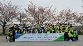 NH농협캐피탈, 천안시 직산농협 관내 배농가 일손돕기