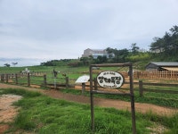 매일유업 상하농원 동물농장 가보니  그림 같은 목장에 신선 먹거리 한가득