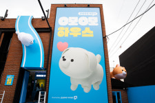 삼성화재, 펫 팝업 스토어 오모오모 하우스 오픈