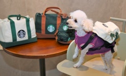 스타벅스, 국내 첫 반려동물 동반 매장 구리갈매DT점 오픈