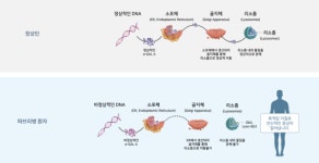 한미약품·GC녹십자·유한양행 LSD 경쟁 중