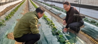 함평군, 영농철 현장 중심 기술지원 돌입