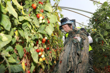 NH투자증권, 집중호우 피해 농가 일손돕기 활동