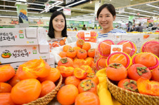 농협유통 하나로마트, 가을 맞이 청도 반시 선봬