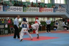 제26회경북지사기태권도대회 성주서 개최