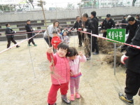 봉화군, 나무 나누어주기 행사 개최