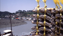 영광군,영광굴비특구 2019년까지 연장