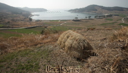 완도군, 청산도의 살아숨쉬는 역사를 느껴보세요