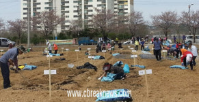 음성군 감곡면 주공아파트 텃밭 농장 개장