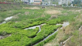 강재헌 의원, 여수시 탁상행정이 빚은 죽림지구 저류시설...혈세만 낭비