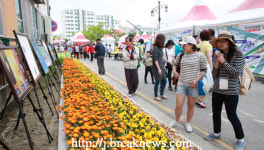 【화보】2015 부안마실축제 (2)