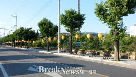 성주군, 참외등 거리 조성 및 환경정비