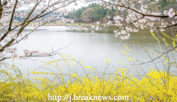 도심 속 소류지 생태휴식공간으로…