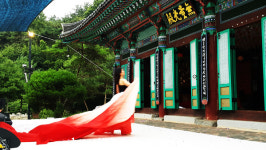 김제 청운사, 제14회 하소백련축제 성황