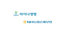 라이나·농협손보, 불완전판매 ‘무감각’..우수인증 설계사 비중 ‘최하위’
