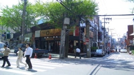 스포츠웨어, 신사동 ‘가로수길’ 줄줄이 출점..왜?