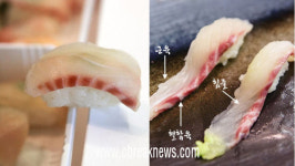 ‘도미초밥’ 도미 대신 ‘대장균 덩어리 틸라피아’ 사용