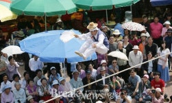영월, 제천, 평창 5일장 장돌뱅이 체험 행사
