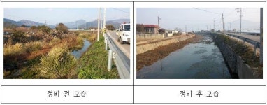 성주군 초전면, 하천 정화사업 실시