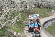 김천 자두꽃축제, 4년연속 국비지원축제 선정