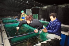 JDC, 제주바다에 30만 마리 전복종묘 방류
