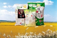 정읍 단풍미인쌀, 고품질 브랜드