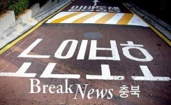 변재일 의원, 도로교통법 노인·장애인 보호구역 강화 추진