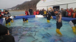 포천, 송어 축제  제1회 개최