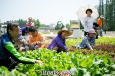 전남대 ‘2016 도시텃밭’ 분양