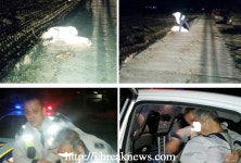 김제경찰서 수색 4시간 만에 치매 노인 발견