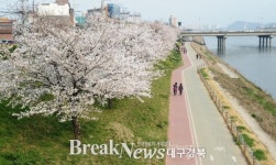 대구 동구청 금호강 봄맞을 채비 들어가