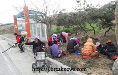 고창 성송면, 모기유충 방제작업 실시