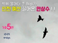 [카드뉴스] 4`13 총선,무소속 안상수 후보 예산편1