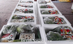 안동시,‘꾸러미 사업’ 6차 산업 모델로 각광
