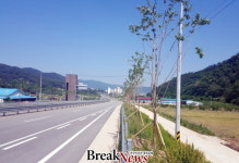 화순군, 4계절 가로숲길 명품녹색도시 조성