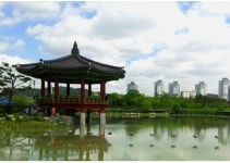 살기좋은 대전 !