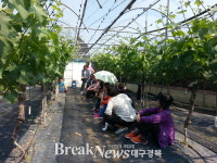 영천 과수기술 배우는 전국 농업인 줄이어