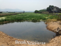 대구 동구 안심 점새늪 이전 모습 되찾아